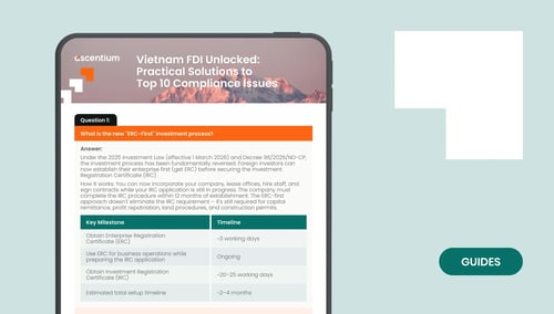 Vietnam FDI Unlocked: Solutions to the Top 10 FDI Issues for SMEs