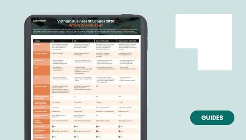 Comparative Options for Foreign-owned Business Entities in Vietnam