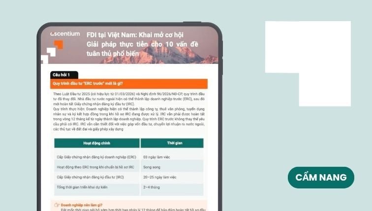 Giải mã FDI tại Việt Nam: 10 Giải pháp Hàng đầu cho SME 