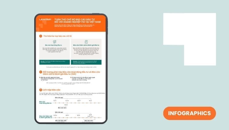 Phân tích chi tiết về Báo cáo FDI và ISA dành cho Nhà đầu tư nước ngoài tại Việt Nam