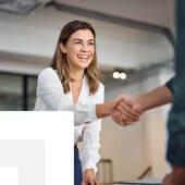 businesswoman shaking hands