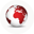 icon-incorp-global