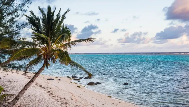 Stay Up-To-Date: 2026 Cayman Islands Compliance Calendar