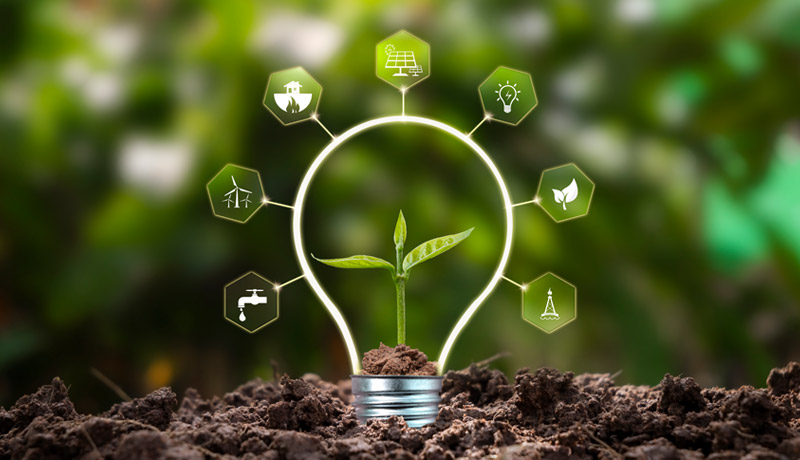 Life Cycle Assessment: Impacts and Importance in BRSR