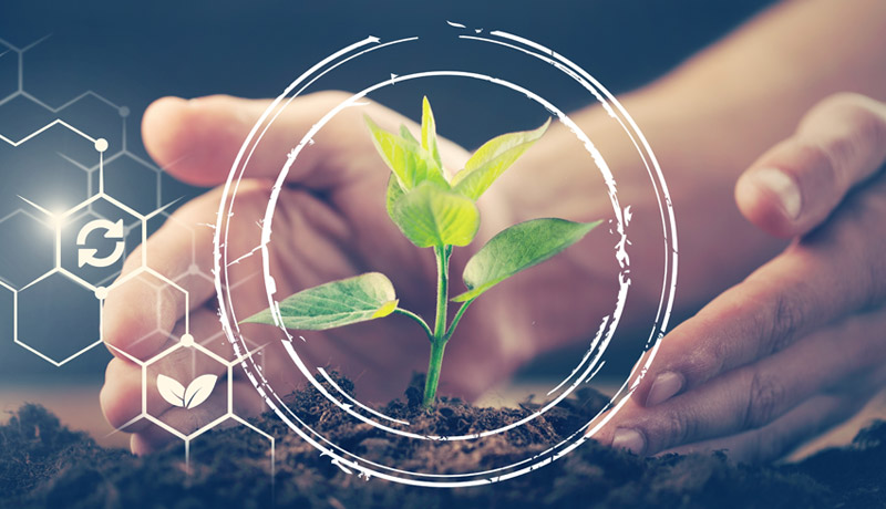 Governance Structures: Ensuring Accountability in BRSR Compliance