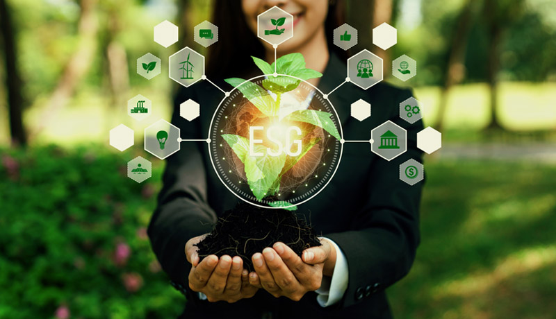 Why Listed Companies Require ESG Consultants for Effective BRSR Reporting?