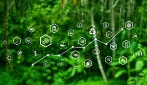 Science Based Targets Initiative (SBTi): A Comprehensive Guide