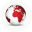 InCorp Global